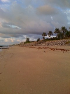 Palm Beach sunrise