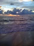 Palm beach sunrise 9