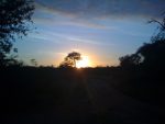 Sunset at Thornybush Reserve