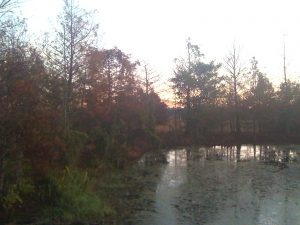 Green Cay Nature Center, Florida