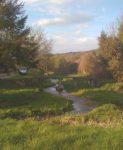 Marigny Le Cahuet Stream, Burgundy