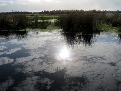 Green Cay Nature Center