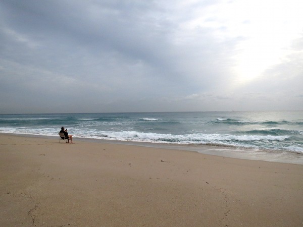 Cloudy Palm Beach