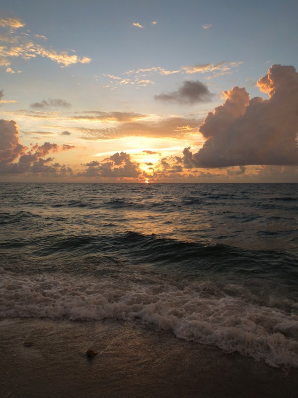 Beach sunrise – Nature Enthusiast