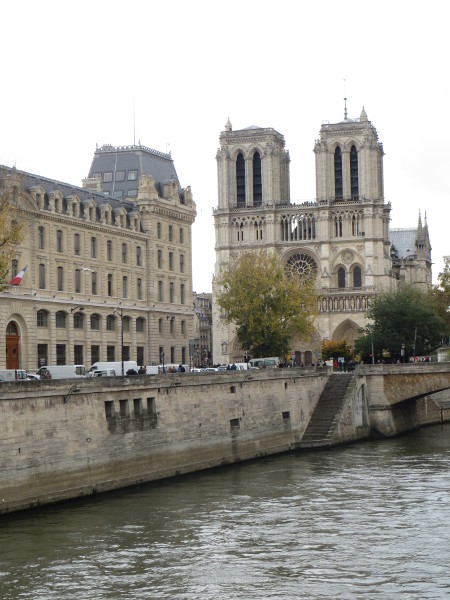 Notre Dame across the Seine River