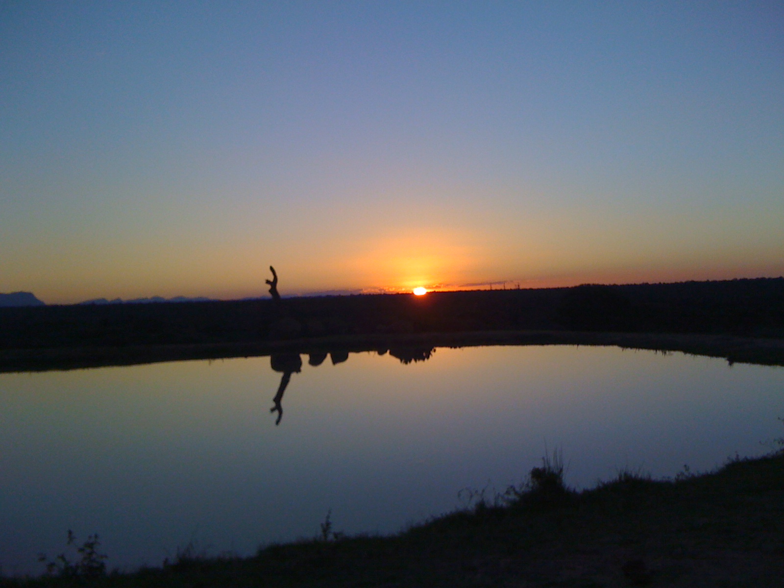 Kapama Reserve sunset